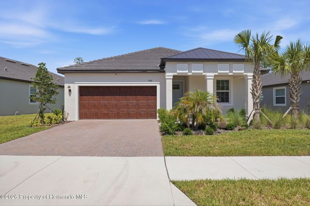 9776 Minnow Ray Drive, Land O'lakes, FL 34638