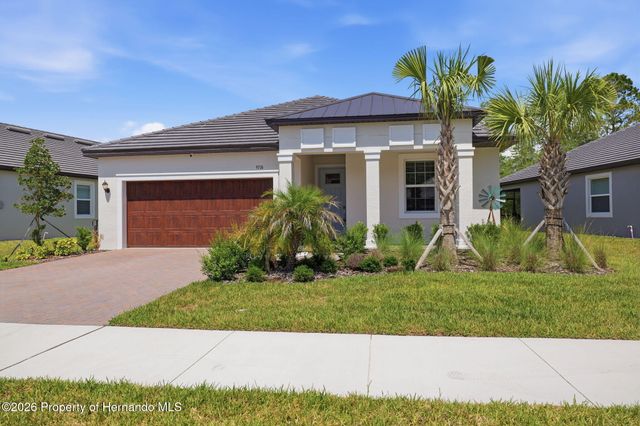 9776 Minnow Ray Drive, Land O'lakes, FL 34638