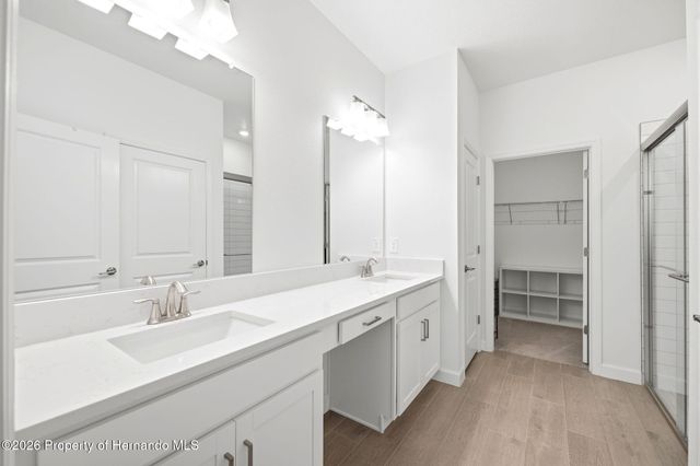 9776 Minnow Ray Drive, Land O'lakes, FL 34638
