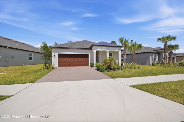 9776 Minnow Ray Drive, Land O'lakes, FL 34638