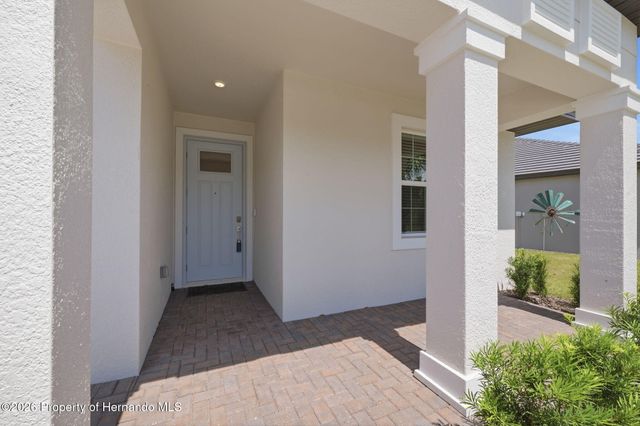 9776 Minnow Ray Drive, Land O'lakes, FL 34638