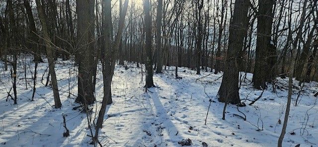 0 Houk Rd, Slippery Rock Twp, PA 16051