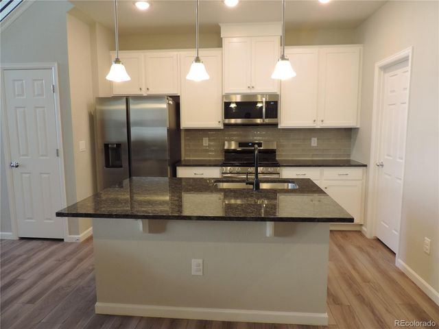 16423 Askins Loop, Parker, CO 80134