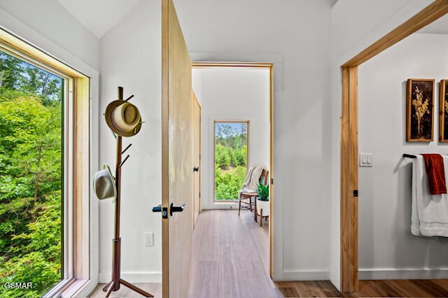 3110 Sourwood Way, Sevierville, TN 37862