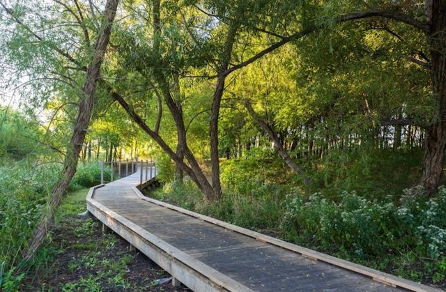 1309 Sage Way, Little Elm, TX 76227