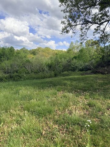 940 N Brace Rd, Summertown, TN 38483