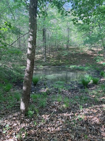940 N Brace Rd, Summertown, TN 38483