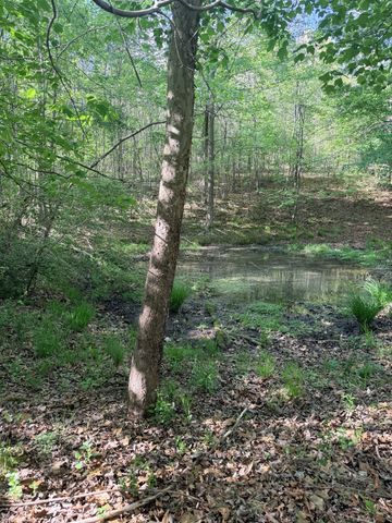 940 N Brace Rd, Summertown, TN 38483