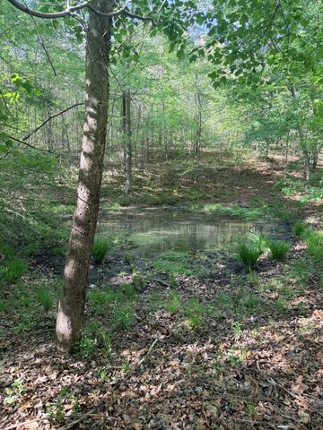 940 N Brace Rd, Summertown, TN 38483