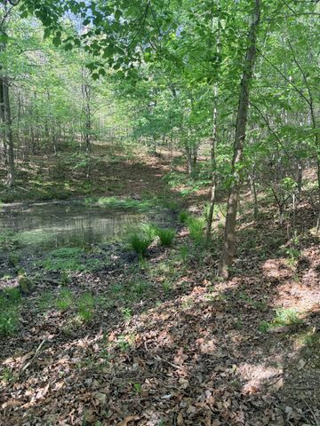 940 N Brace Rd, Summertown, TN 38483