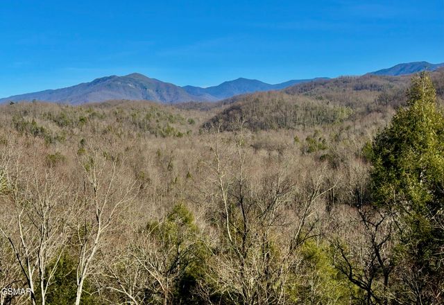 224 Woodland Road, Gatlinburg, TN 37738