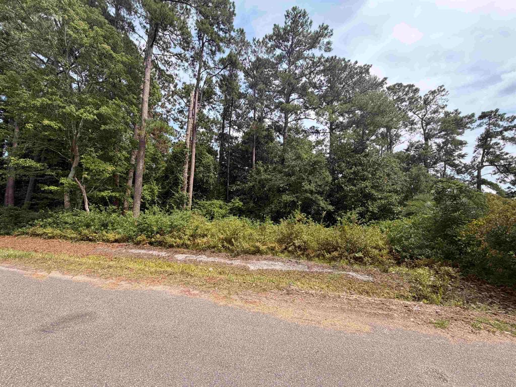 TBD 7th Ave., Conway, SC 29526 — exterior