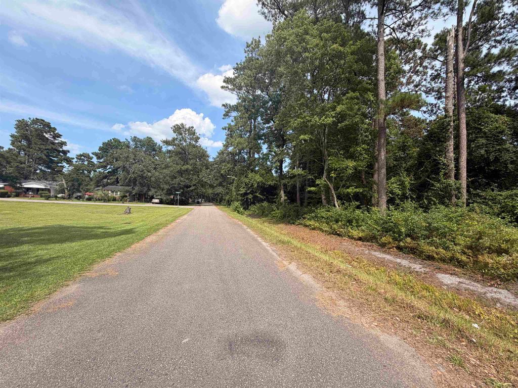 TBD 7th Ave., Conway, SC 29526 — photo 3