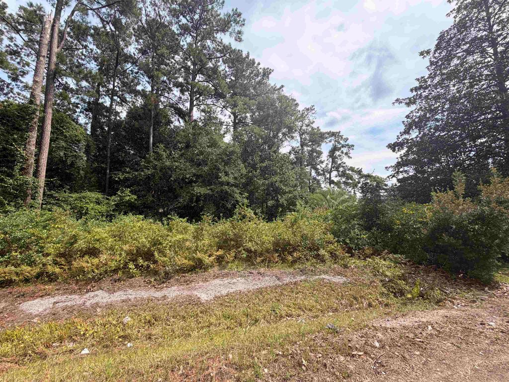 TBD 7th Ave., Conway, SC 29526 — photo 4