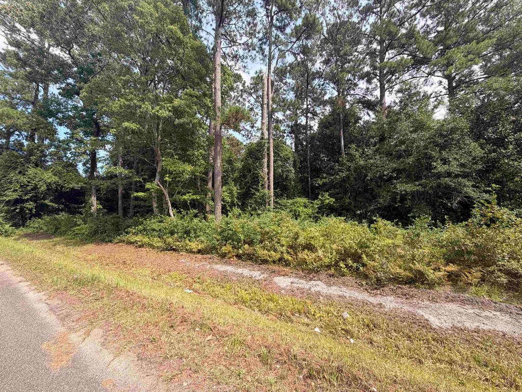 TBD 7th Ave., Conway, SC 29526 — photo 5