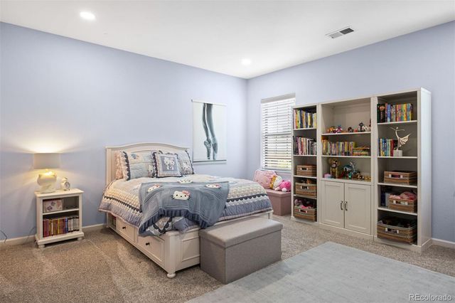 11958 S Wanderlust Way, Parker, CO 80138