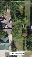 1217 MABBETTE STREET, Kissimmee, FL 34741
