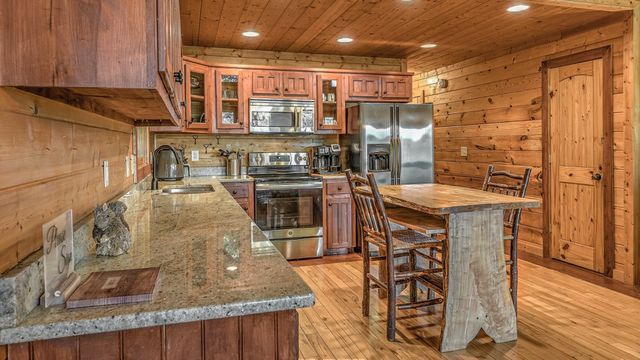 155 Shayla Drive, Blue Ridge, GA 30513