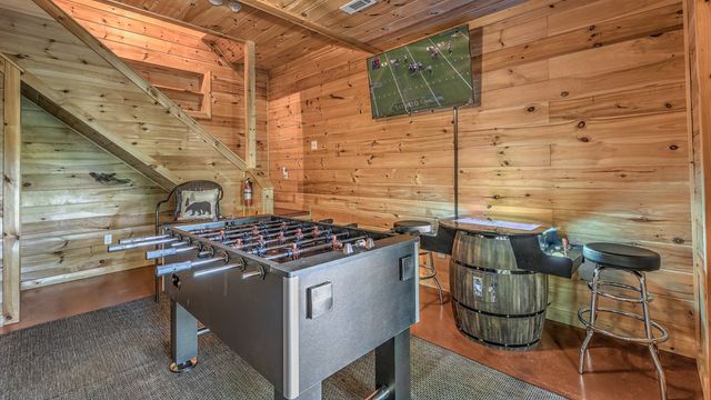 155 Shayla Drive, Blue Ridge, GA 30513