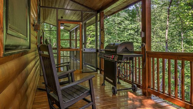 155 Shayla Drive, Blue Ridge, GA 30513