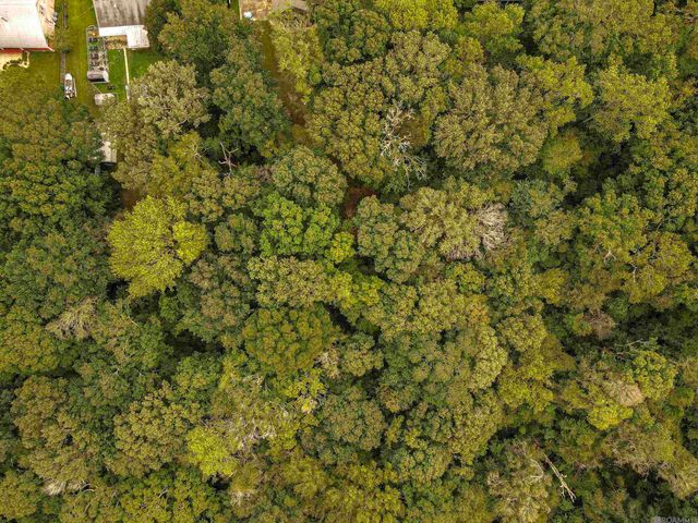 25247 Shane Ct, Jackson, LA 70748