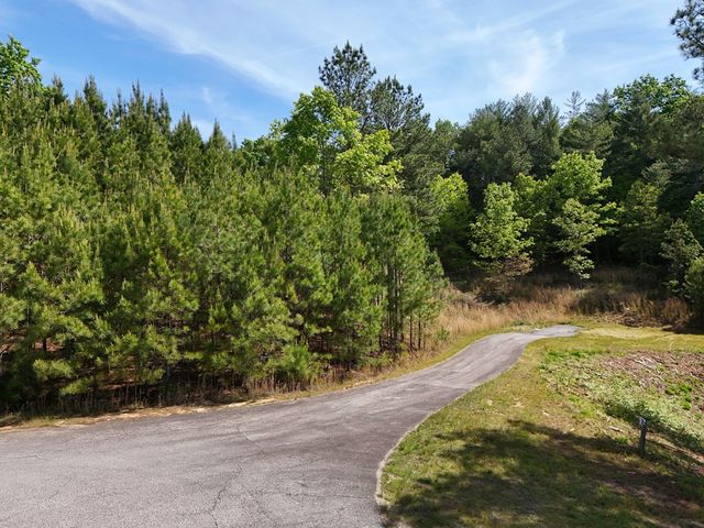 Lot 101 Big Knoll Drive, Blairsville, GA 30512