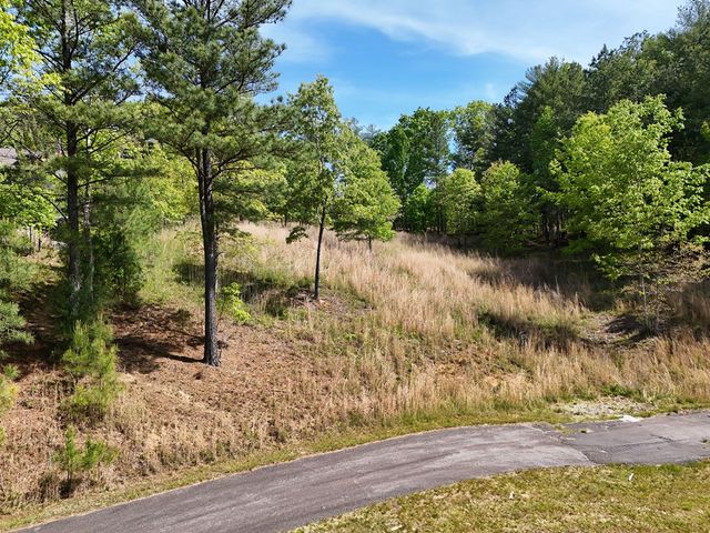 Lot 101 Big Knoll Drive, Blairsville, GA 30512