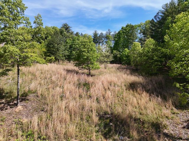 Lot 101 Big Knoll Drive, Blairsville, GA 30512