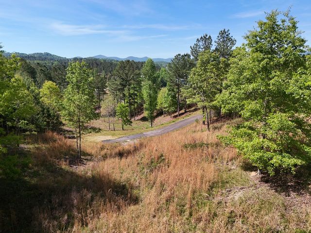 Lot 101 Big Knoll Drive, Blairsville, GA 30512