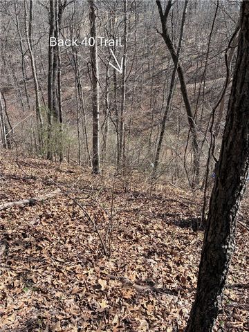 Spilsby Lane Lot 76, Bella Vista, AR 72714