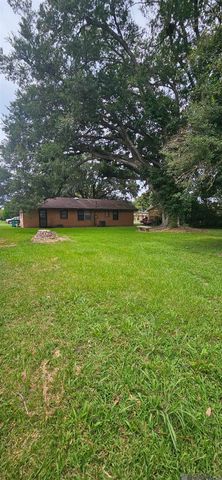 25355 Dickinson Rd, Plaquemine, LA 70764