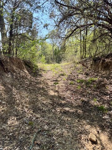 TBD FM 1885, Perrin, TX 76486