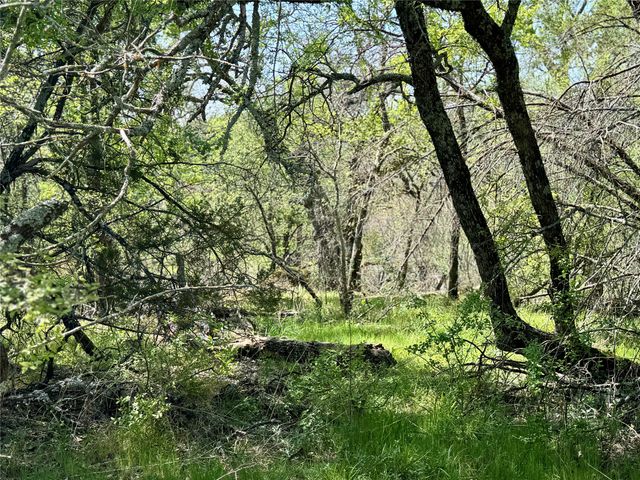 TBD FM 1885, Perrin, TX 76486