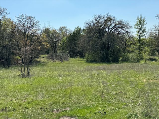 TBD FM 1885, Perrin, TX 76486