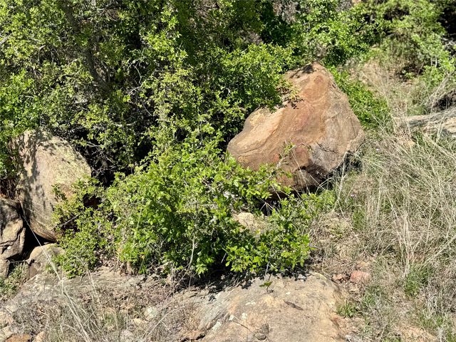 TBD FM 1885, Perrin, TX 76486