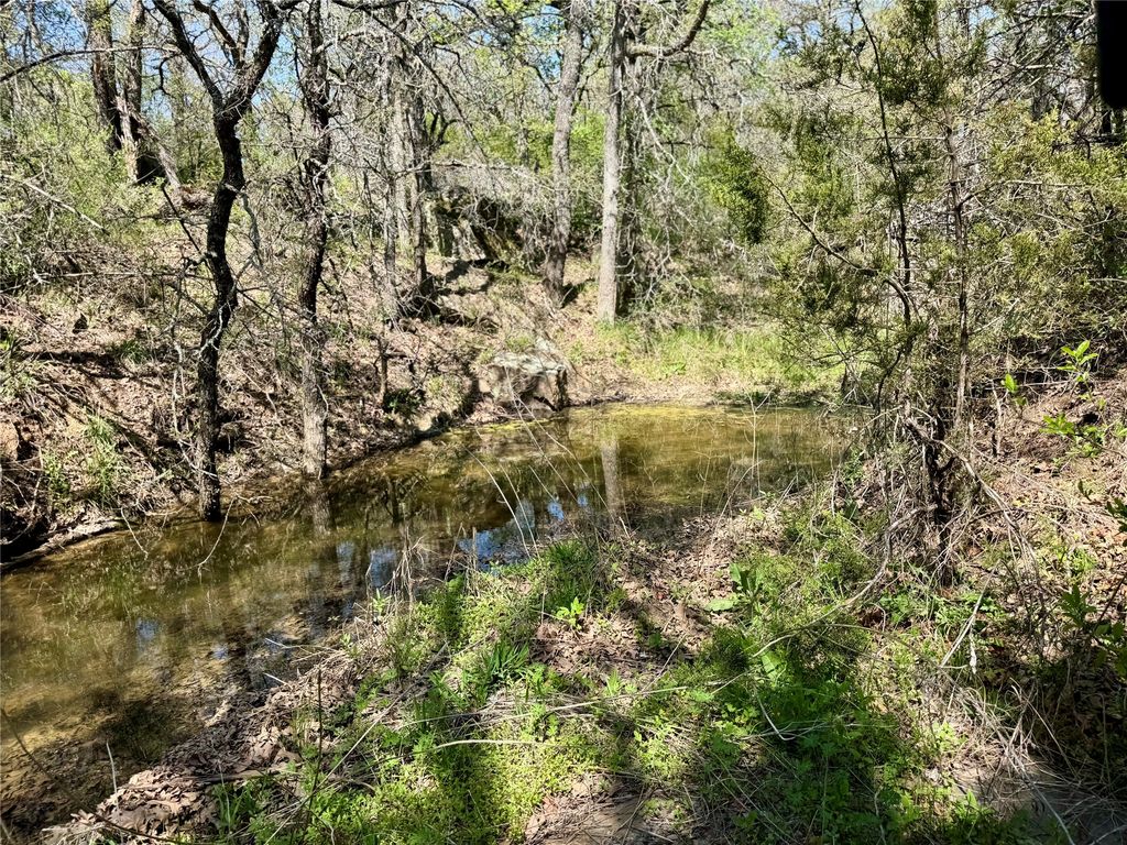 TBD FM 1885, Perrin, TX 76486