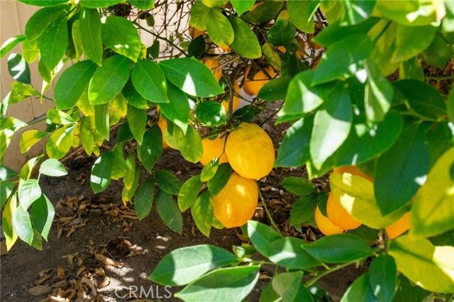 42370 Circulo Cavinara, Murrieta, CA 92562