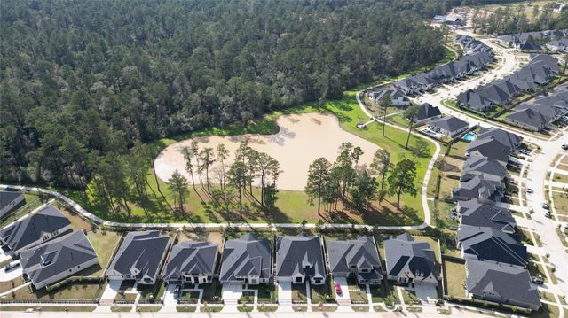 15391 Ringbill Way, Magnolia, TX 77354