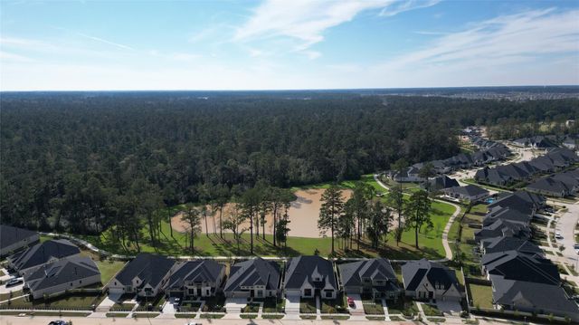 15391 Ringbill Way, Magnolia, TX 77354