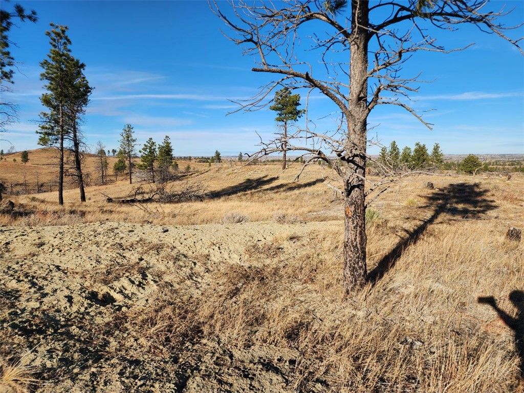 669 OLD STAGE ROAD, Other, MT 59058 photo 3