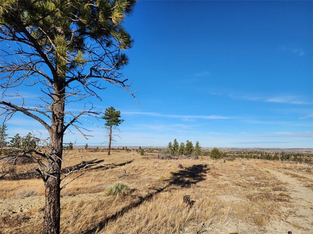 669 OLD STAGE ROAD, Other, MT 59058 photo 4