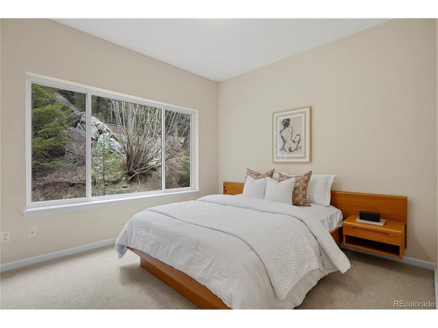 385 Snyder Mountain Rd, Evergreen, CO 80439