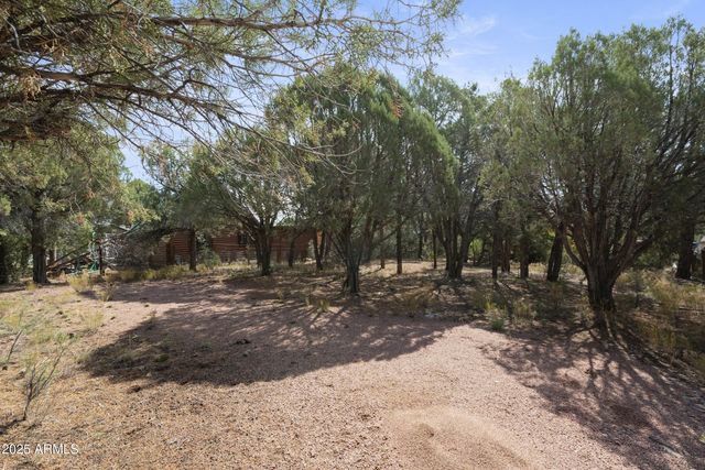 1040 S PALOMINO Place, Payson, AZ 85541
