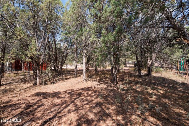1040 S PALOMINO Place, Payson, AZ 85541