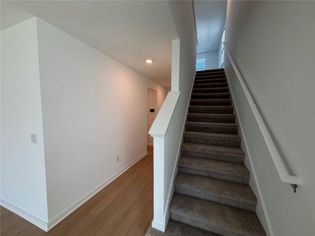 33424 BINDING TIES LANE, Wesley Chapel, FL 33545