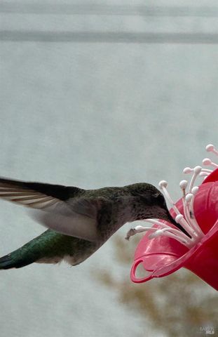 11921 Lakeshore Dr, Clearlake, CA 95422