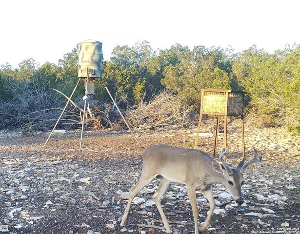 1024 Sd 63005, Rocksprings, TX 78880