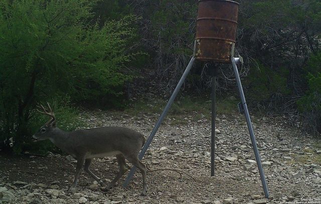 1024 Sd 63005, Rocksprings, TX 78880