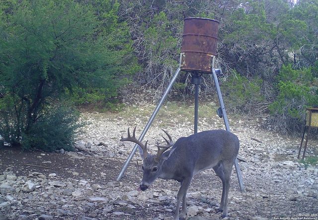 1024 Sd 63005, Rocksprings, TX 78880