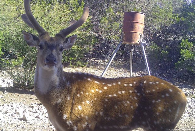 1024 Sd 63005, Rocksprings, TX 78880